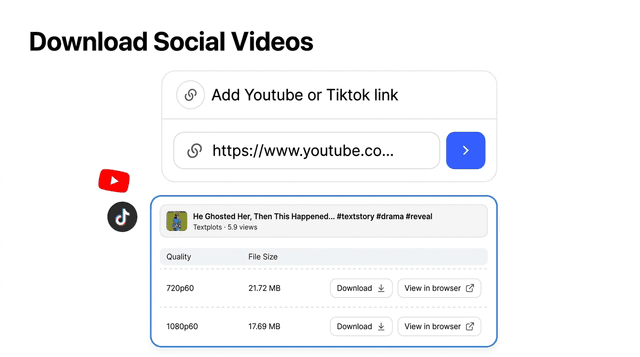 Video Downloader